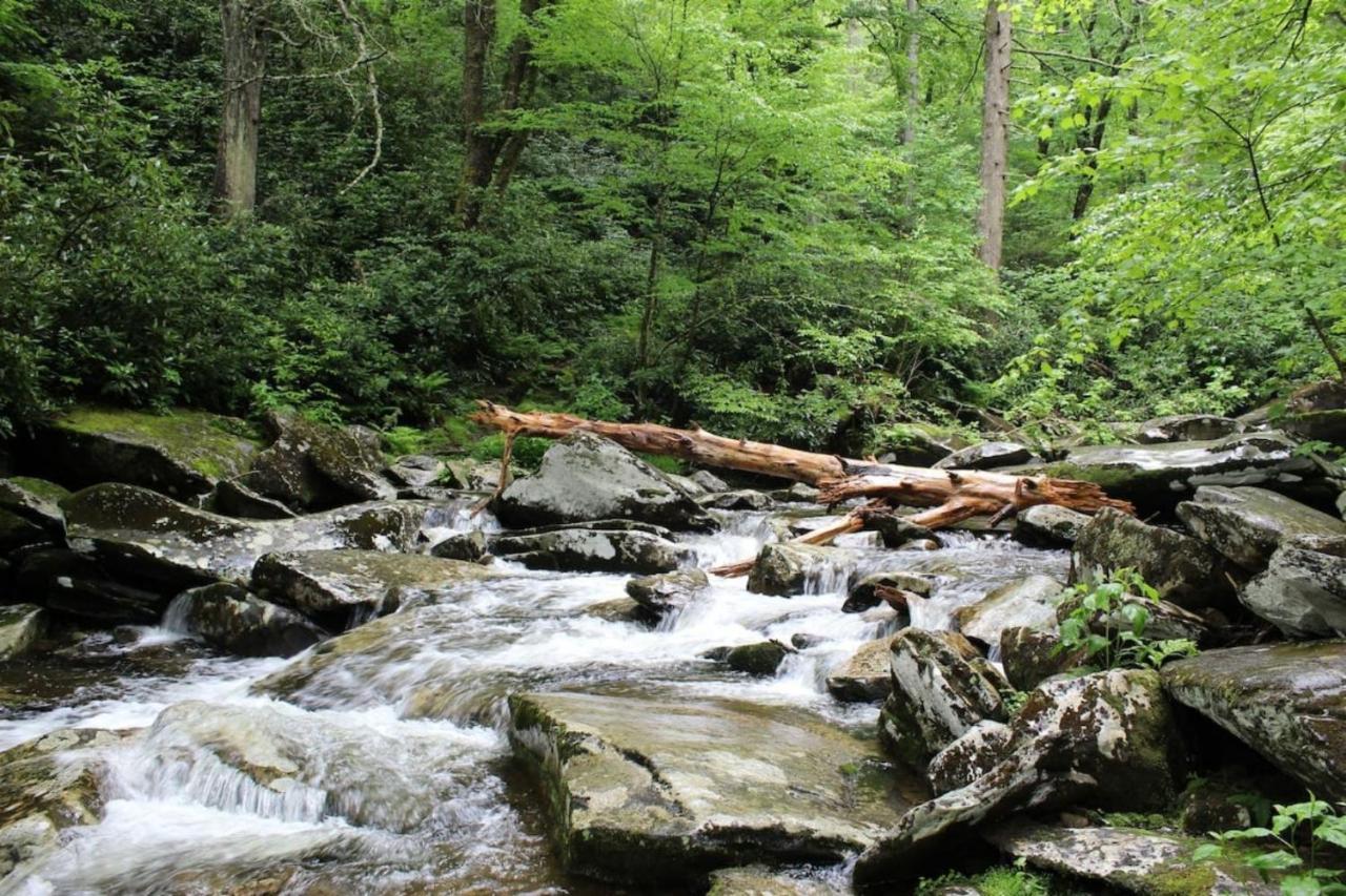 Sky High Views!!-Peak Mountaintop-Outdoor Pool-Close To Downtown-Private Balcony-Wifi-Cable Gatlinburg Exterior foto